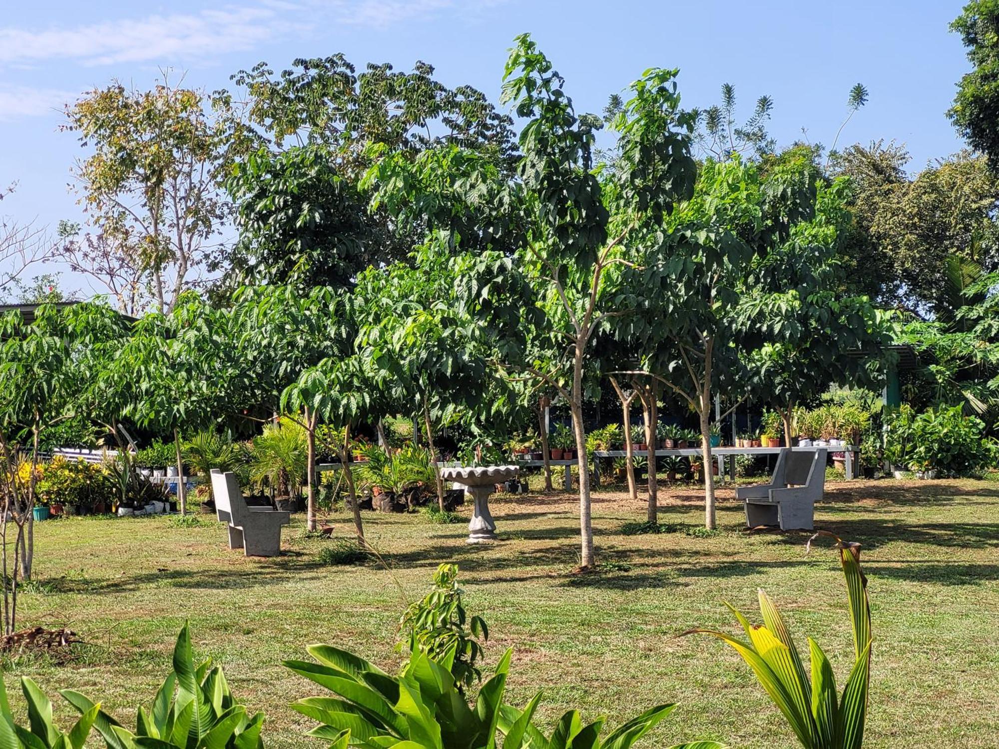 The Inn At Punta Mala Pedasi Town Екстериор снимка